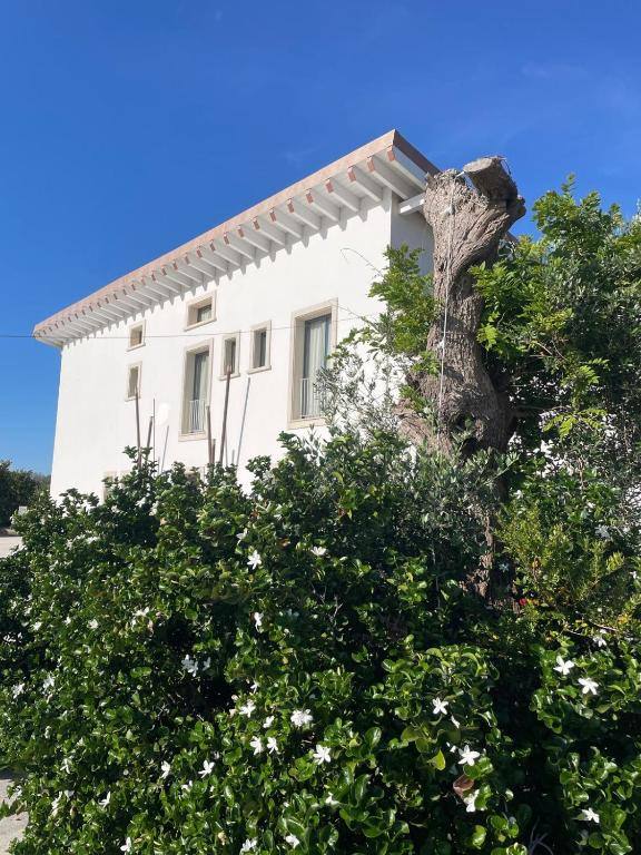 Edificio storico della masseria